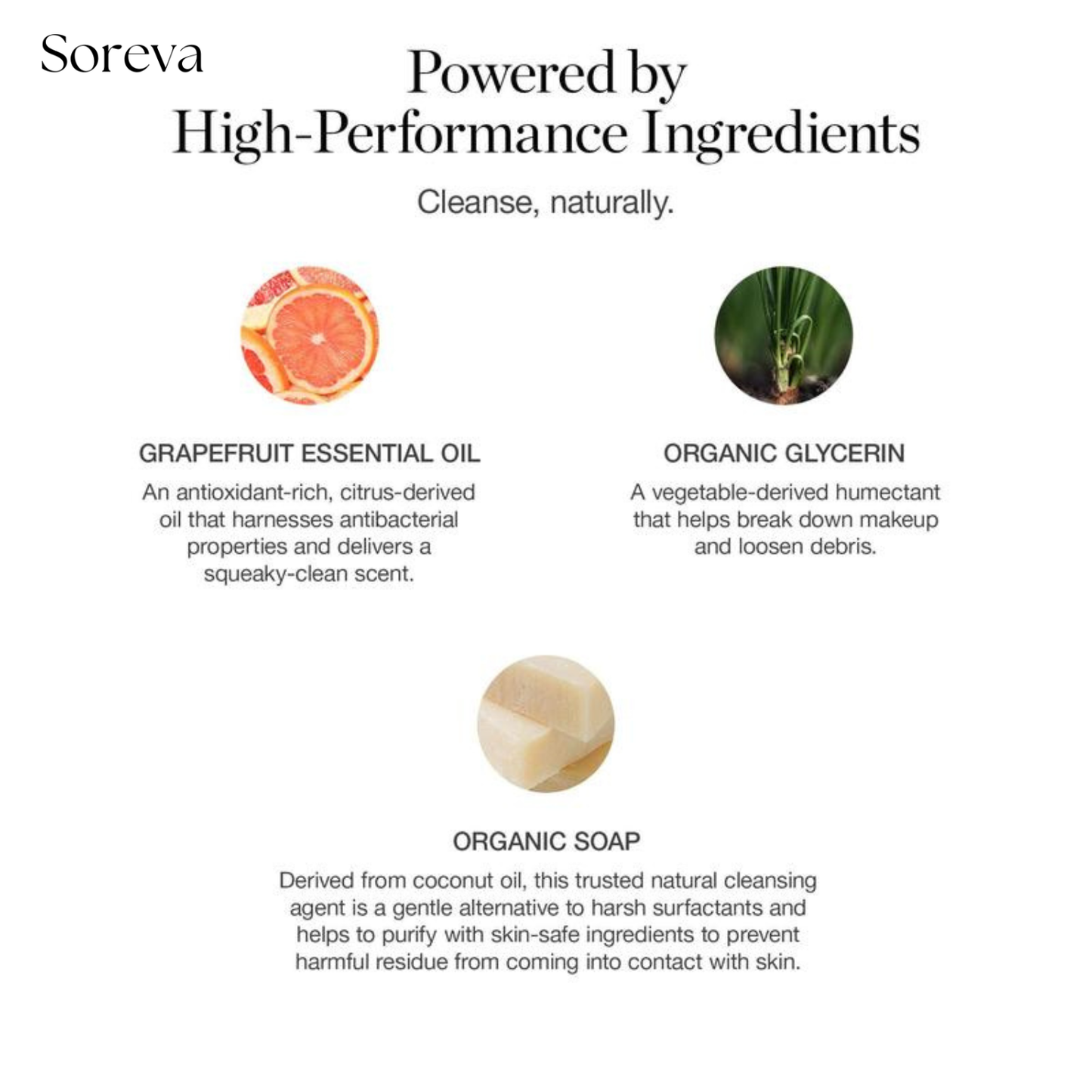 Brush Cleanser