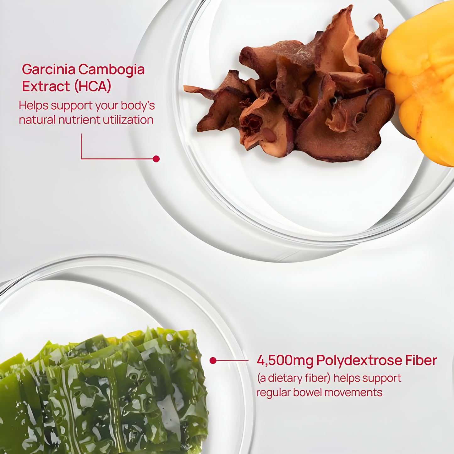 Cutting Jelly Sticks